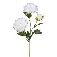 artplants Deko Zweig Pfingstrose Slormek, Weiß, 65Cm