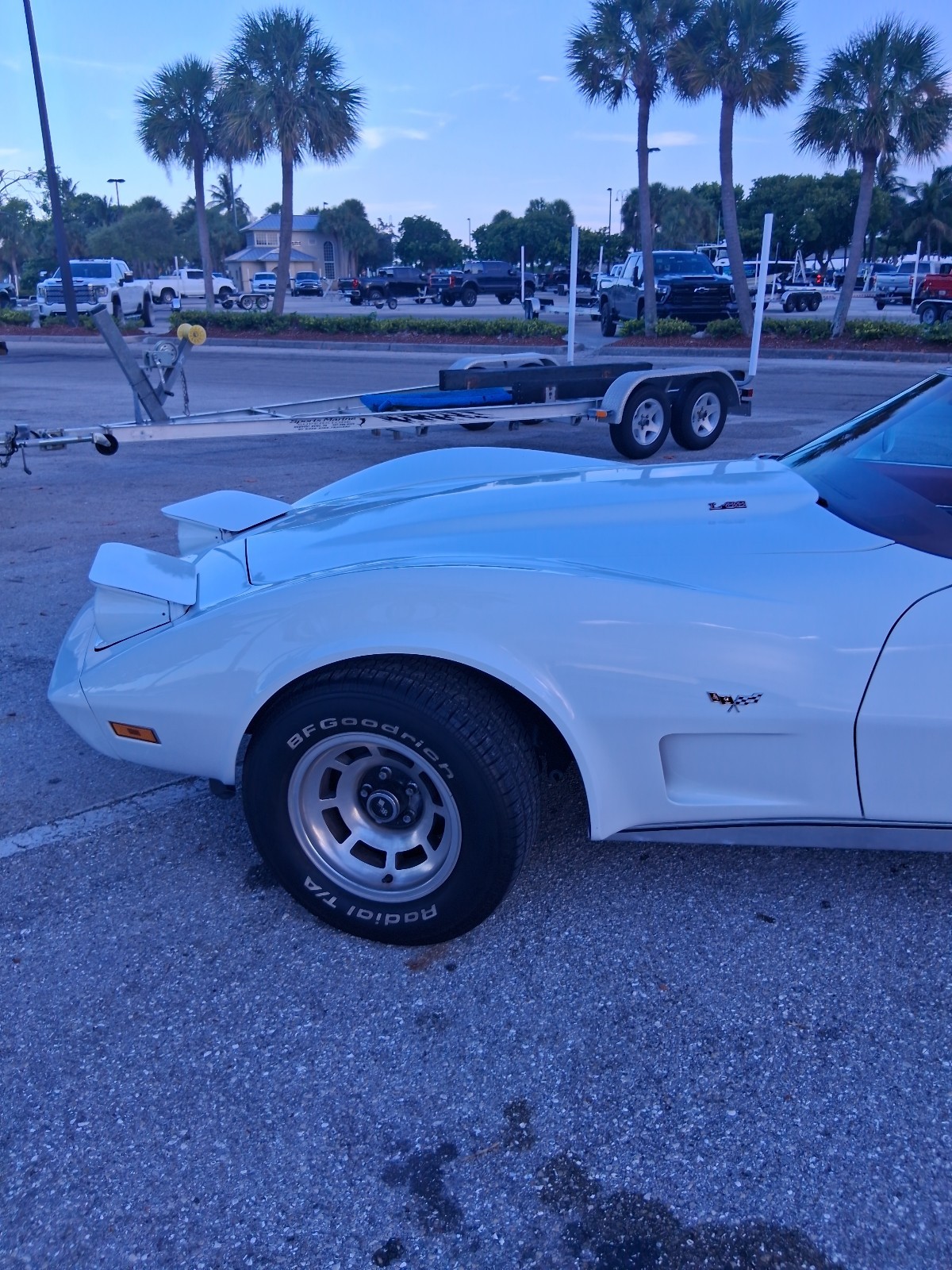 1977 White Chevrolet Corvette   | C3 Corvette Photo 9