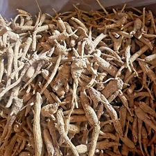 Wholesales!!! 1 LB - 10 LB Wisconsin American Ginseng Root Wisconsin Grown 美国花旗参