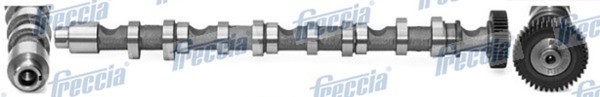 Freccia Nockenwelle CM05-2196 FüR Polo 6C1 365 Skoda VW Audi Honda 3C5 Seat 6R1-image