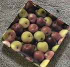 Starbucks Coffee Square Ceramic Plate Fruit Panorama Microwave Dishwasher Safe — photo 1