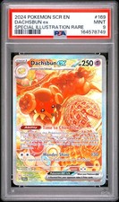 Dachsbun EX 169/142 Special Illustration Rare Stellar Crown Pokemon PSA 9 on eBay