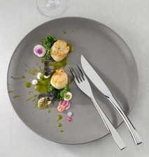 Case of 6 x Degrenne Modulo Nature Taupe, Coupe Dinner Plate, 28cm 11&Prime; Warm Grey