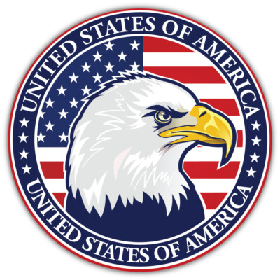 10cm Auto-Aufkleber Sticker Decal Laptop USA Flag Eagle See-Wei?kopf-Adler H3833