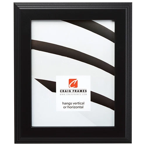 Craig Frames 1.25" Traditional Gallery Black Picture Frame Poster Frames