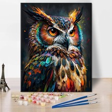 Abstract Owl Animal Paint by Numbers Kit for Adults Beginners 16x20 Inch Art