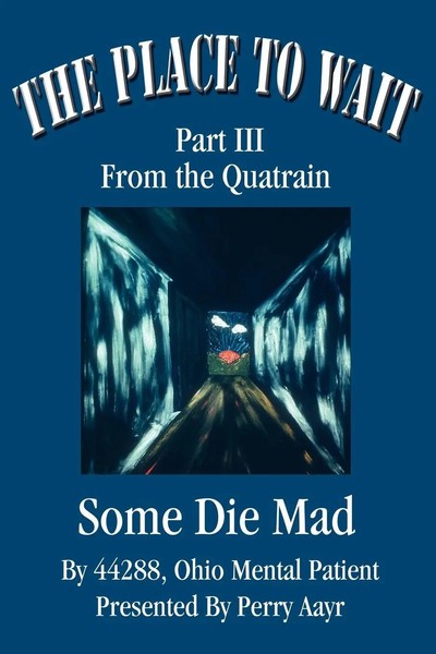 The Place To Wait | Part III Of The Quatrain Some Die Mad | Perry Aayr | Buch-image