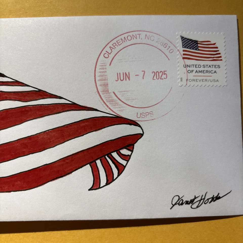 2025 US Flag Forever Stamp C110 American Eagle & US Flag FDC/OOAK - Image 3 of 4