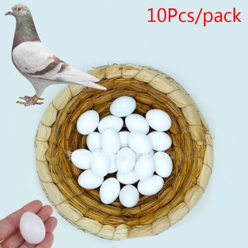 10Pcs White Solid Plastic Solid Pigeon Eggs Dummy Fake Eggs Hatching Suppli ZT - Picture 1 of 10