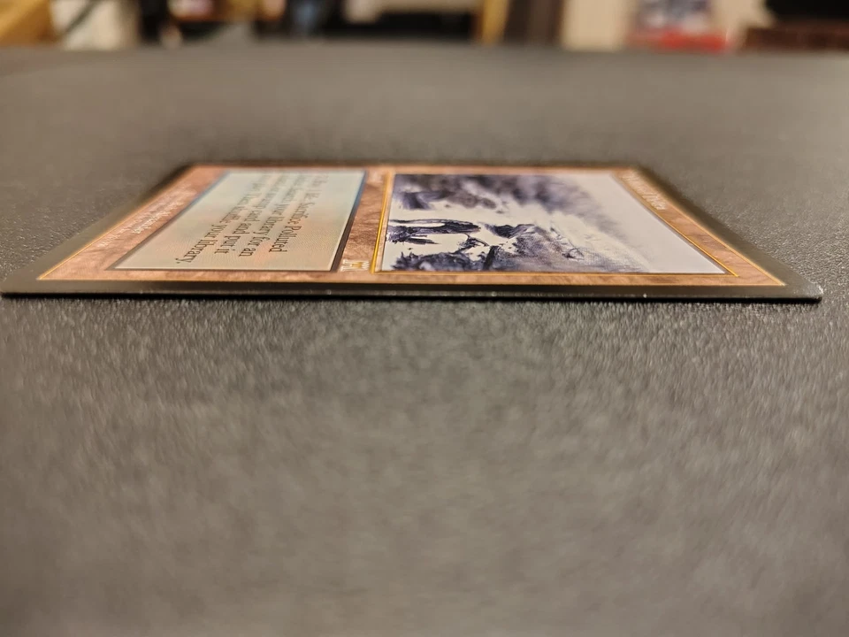 Polluted Delta MTG Onslaught EX/NM + Hard case - Image 3 of 4