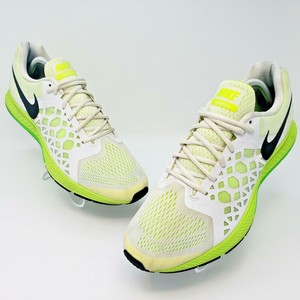 zoom pegasus 31 mens