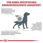 Bild 4 von 10