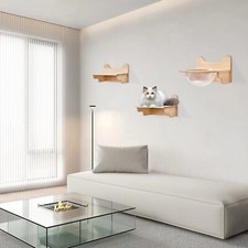 Wall-Mounted Wooden Cat Space Capsule Cat Bed Step Large Transparent Cat House