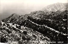 Inland Tour Santa Catalina Island CA RPPC Real Photo Postcard 1950s