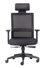 Office Chair High Backrest with Black Mesh Seat and Headrest with Black Fabric