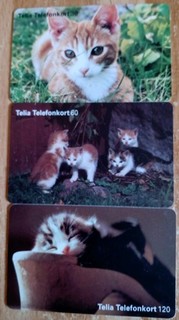 3 Phonecards Of Domestic Kittens. 4 Playing. 1 Sleeping. 1 In The Grass. Good.