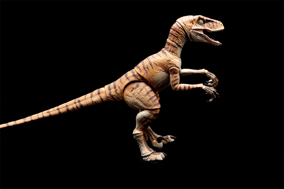 AMITD Raptor 2.5 Shadow Blade – Action Figure In Scala 1:12, Modello Da Collezione In PVC, Lunghezza 35 Cm, Regalo Per Appassionati Di Dinosauri (Tiger Blade)