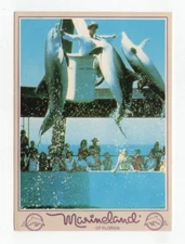 Greetings From Marineland Where The Sea Comes Ashore Vintage Postcard Unposted