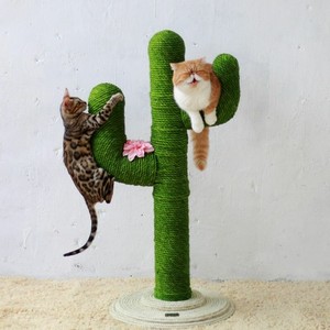 cat scratching post rope