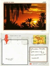 CPM AK TUNISIA Sunset on the Oasis (258356)