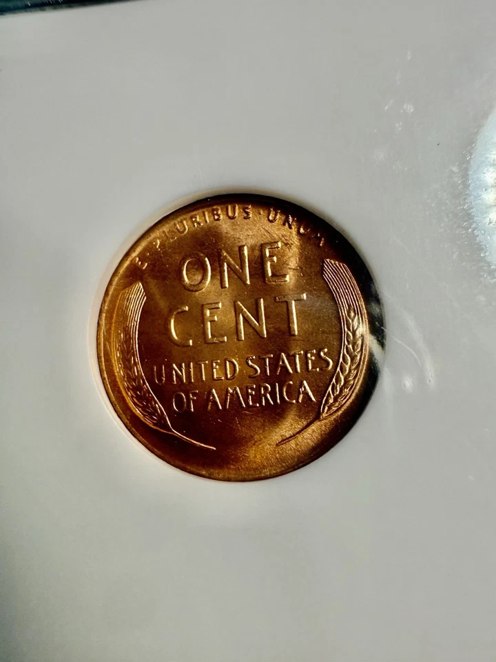 1946 Lincoln Wheat Cent – NGC MS 65 RD – Brilliant Red Mint State! - Image 4 of 4