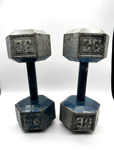 Pair 30 lb Cast Iron Hex Dumbbells 60 lbs Total Weight Set Home Gym