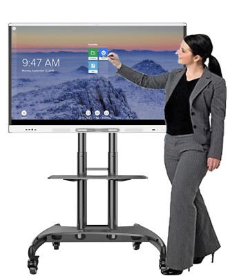 65'' Smart Board MX065-V2 Interactive Display with IQ