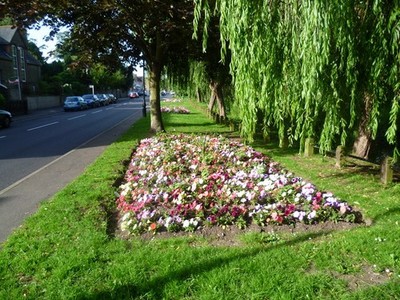 Foto A2 Blumenbeete am Paul's Cray Foots Cray Diese Blumenbeete sind alle c2011