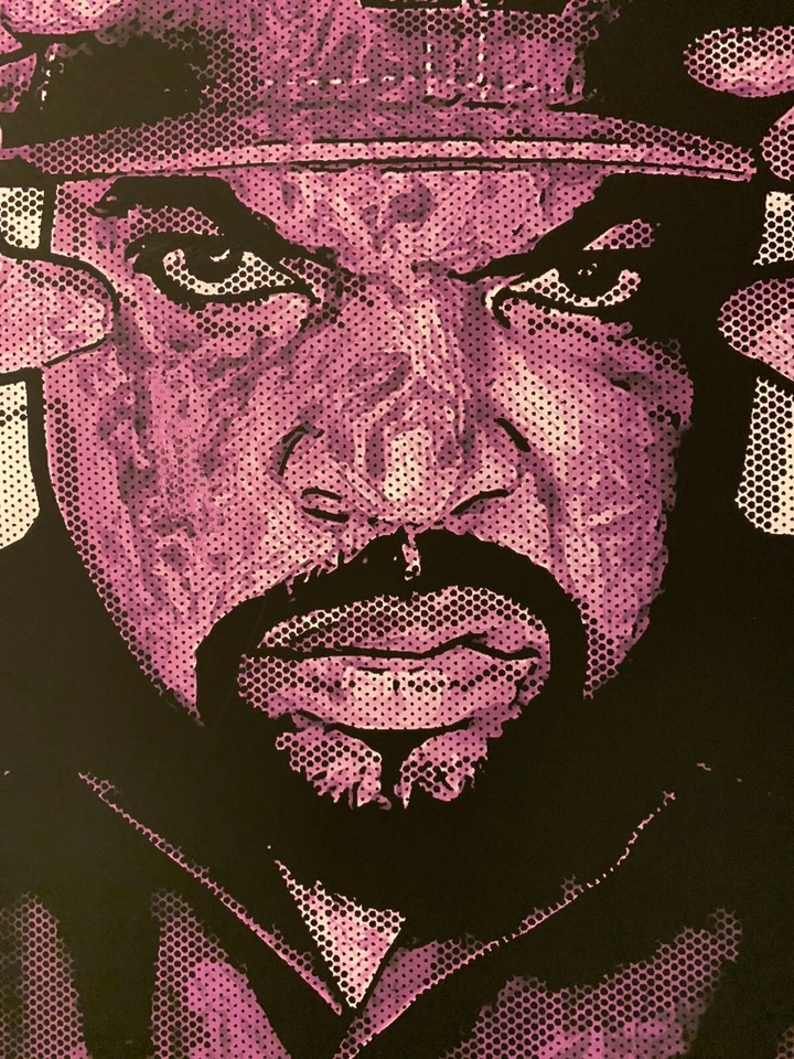 Chris Boyle Ice Cube Rap Icono Póster Arte Impreso LA EE. UU. Hip Hop 23/25 Foto 4 de 4