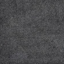 Carpet Saxony Luxury 19mm Thick Dense Fusion Soft ONLY 12.99/m² Lounge Bedroom