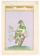 Hand Miniature Painting Of Bird Indian Vintage Nature Art On Paper 5.5x8 Inches