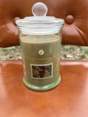 Northern Lodge Candle Evergreen Douglas Fir Pine Cone Balsam Breeze 18 Oz Rare
