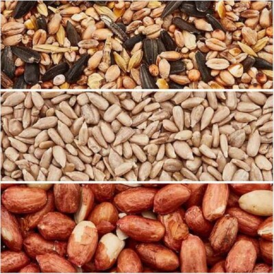 Wild Bird Premium Feed Food Seed Mix High Energy No Mess Peanuts Mix ...
