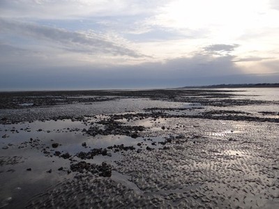Photo A3 Low water near Atherington Littlehampton Flint-strewn pebbles t c2014
