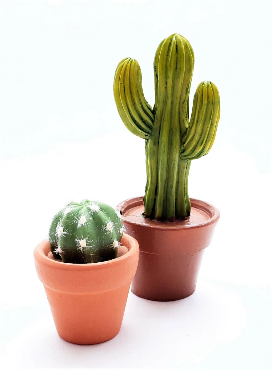 Mini Kaktus online kaufen | eBay.de