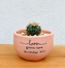 MODERN MINI PINK CEMENT POT FOR SMALL PLANTS FOR BIRTHDAY GIFT