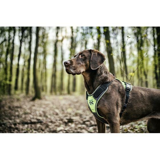 idc long walk harness