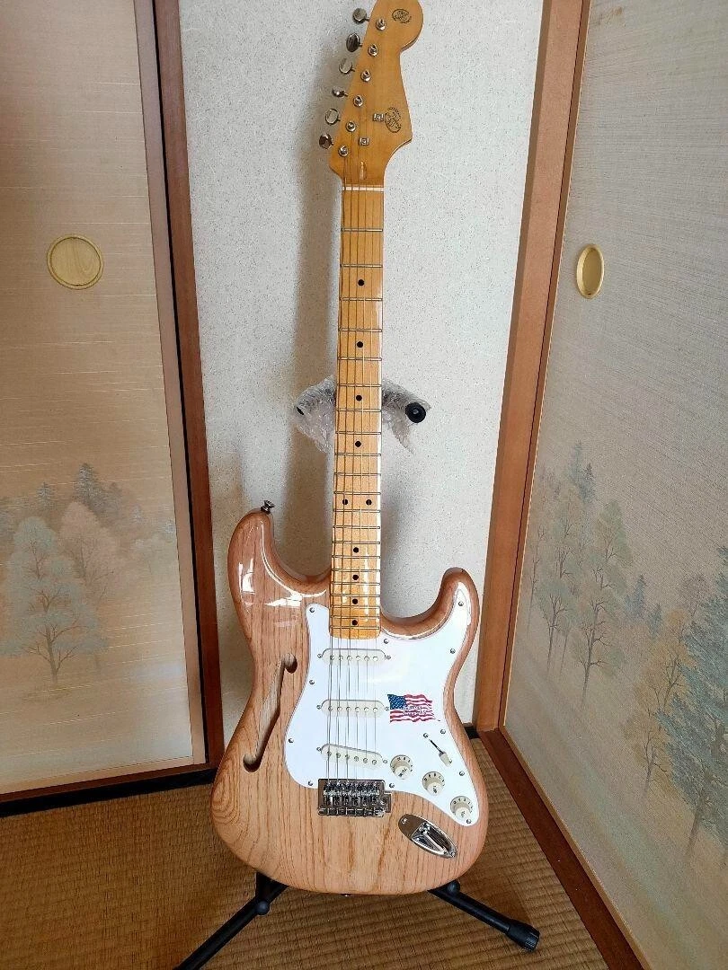 SX Electric Guitars for sale | eBay