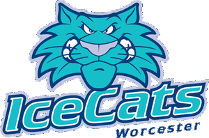 worcester icecats jersey