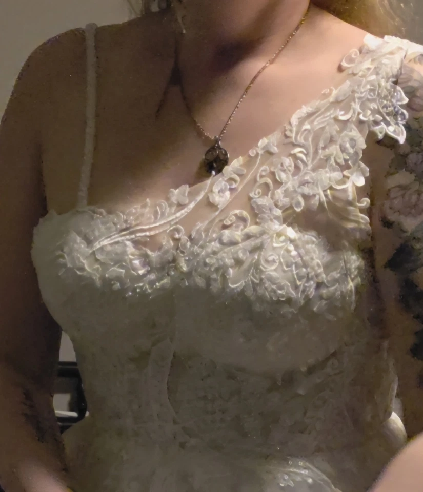 VLADIYAN  $2240 wedding Gown, Size 10 Tags Attached. Not Altered Sample Gown - Image 3 of 4