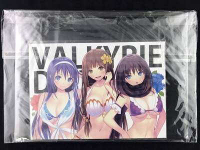 B6 Comics VALKYRIE DRIVE MERMAID (2), Book