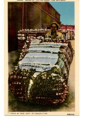 Tennessee Bales of Cotton Ready For Shipment Vintage c.1930s Postcard TN B2