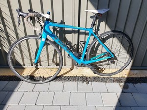 trek 54cm