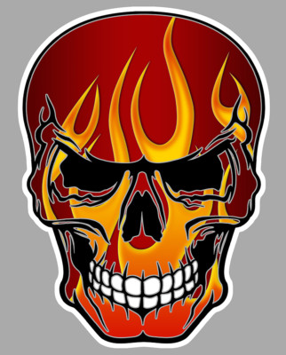 DEATHHEAD FLAMES STICKER SKULL FIRE FLAMING STICKER MOTORCYCLE AUTO SA160