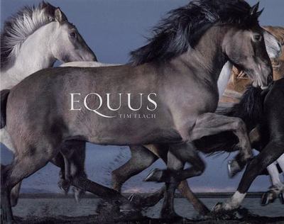 Equus by Tim Flach Hardback Book The Fast Free Shipping