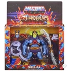 Mattel Masters of the Universe X Thundercats Skell-Ra Mumm-Ra Skeletor MOTU H3