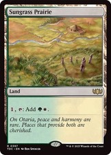 MTG: Tarkir: Dragonstorm - Abzan Armor Comman...