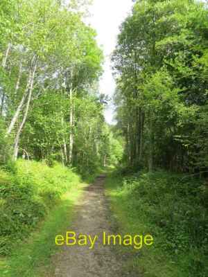 Photo 6x4 Strathspey Railway trackbed Cardhu An attractive wooded section c2014