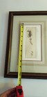 Picture 18 of 18