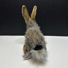 Picture 5 of 7